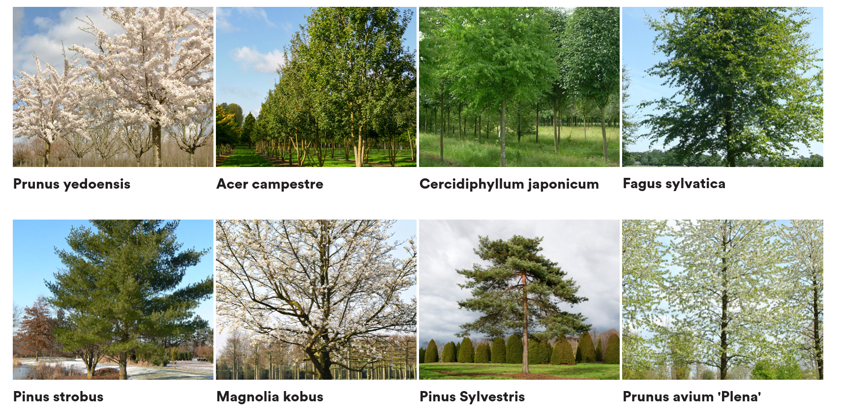 Parking Upgrades at Building 867: Enhancing Sustainability and Accessibility